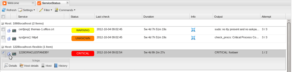 Icinga Web Service-Status